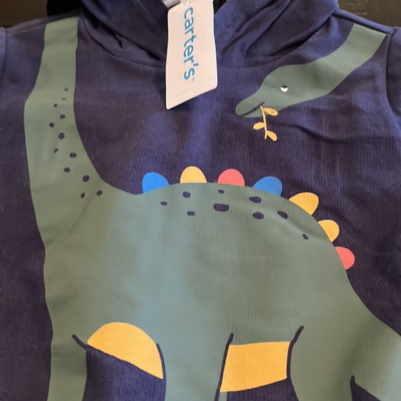 Boys Carters  two piece matching set. Long sleeve with dinosaur. Hooded. - Picture 4 of 7